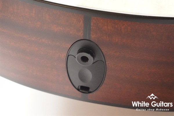 312ce 12Fret V-Class